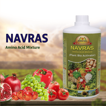 Anshul Navras (Amino Acid)