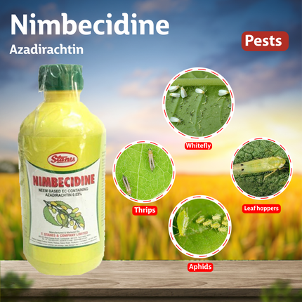 T Stanes Nimbecidine EC 300ppm Bio Pesticide Pests