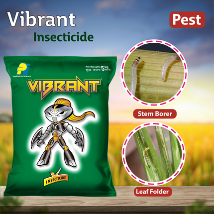 PI Vibrant Insecticide - 1 KG Pests