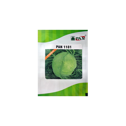 PAN 1181 Hybrid Cabbage (Dark Green, Round) Seeds  - 10 GM