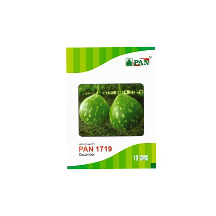 PAN 1719 Hybrid Bottle Gourd (Dark Green Colour With Spots) Seeds  - 10 GM (Pack of 2)