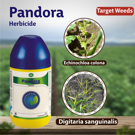 Swal Pandora Herbicide - 700 ML