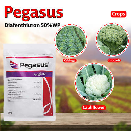 Syngenta Pegasus (Diafenthiuron 50%WP) Insecticide Crops