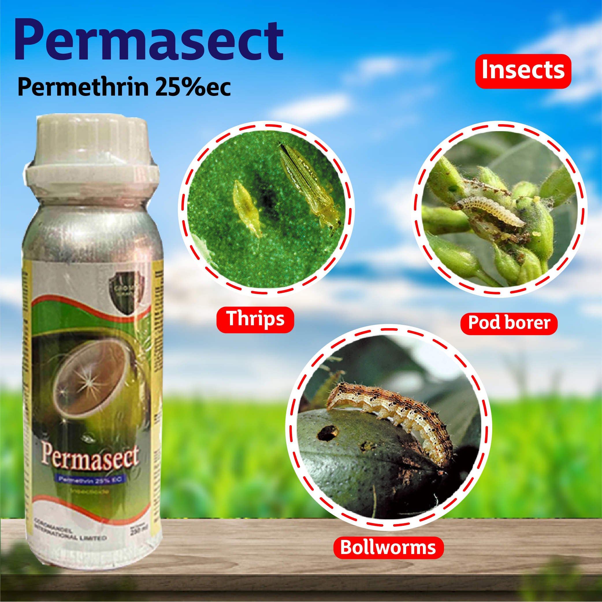 Coromandel Permasect Insecticide Agriplex