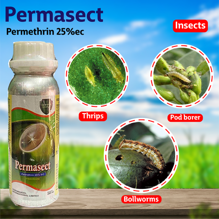 Coromandel Permasect Insecticide
