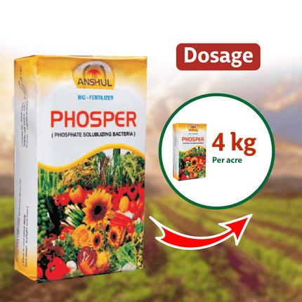 Anshul Phosper (Phosphate Solubilizing Bacteria) - 1 KG Dosage