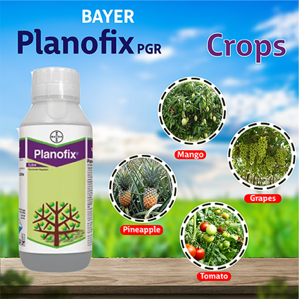 Bayer Planofix PGR Crops