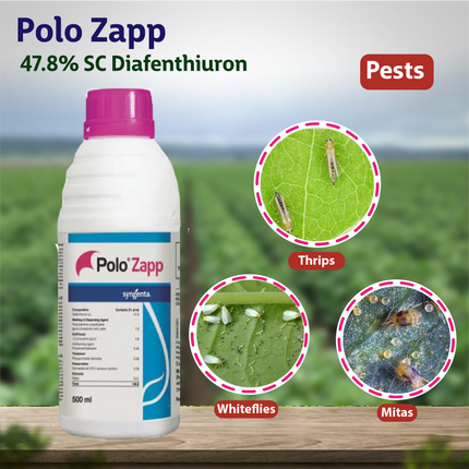Syngenta Polo Zapp Insecticide