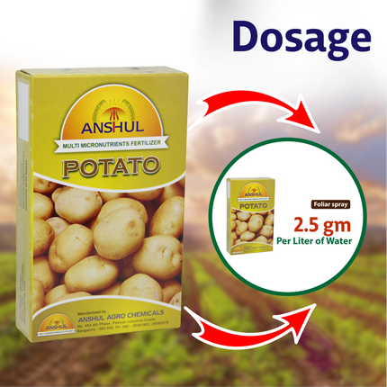 Anshul Potato Special (Micronutrient Fertilizer for Potato) - 500 GM Dosage