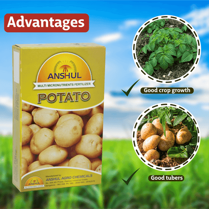 Anshul Potato Special (Micronutrient Fertilizer for Potato) - 500 GM Advantages