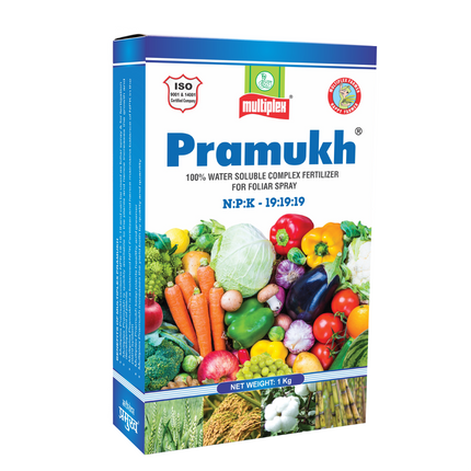 Multiplex Pramukh (19:19:19) Fertilizer