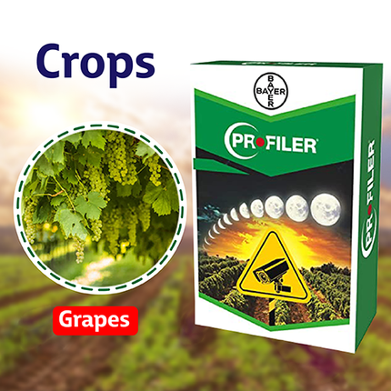 Bayer Profiler Fungicide Crops