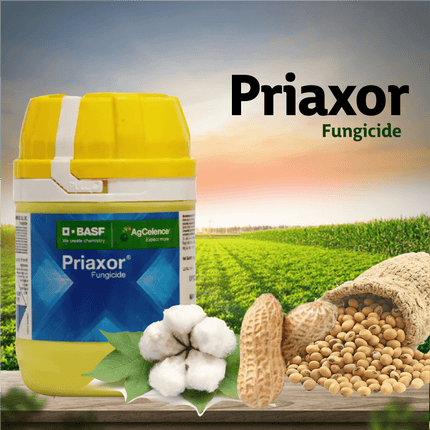 BASF Priaxor Fungicide