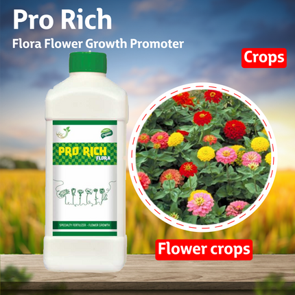 Samruddi Pro Rich Flora Flower Growth Promoter – FGP