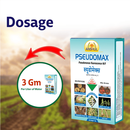 Anshul Pseudomax (Pseudomonas Fluorescence) Fungicide - 1KG Dosage