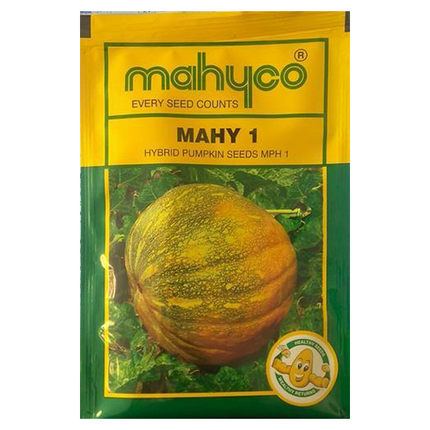 Mahyco Pumpkin Hy Mahy 1 Seeds - 50 GM