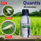 Syngenta Quantis (Bio Stimulant) – Agriplex