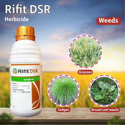 Syngenta Rifit DSR Herbicide