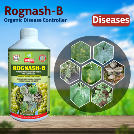Multiplex Rognash-B Fungicide Diseases