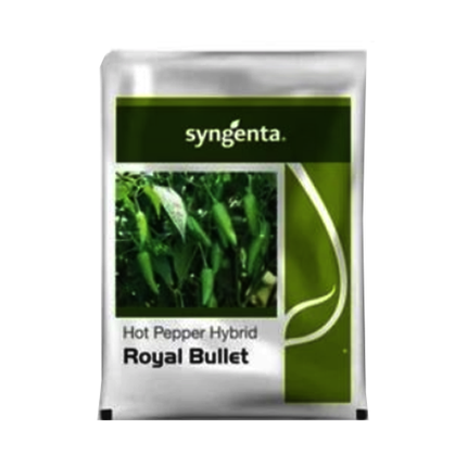 Syngenta Royal Bullet Hybrid Chilli Seeds