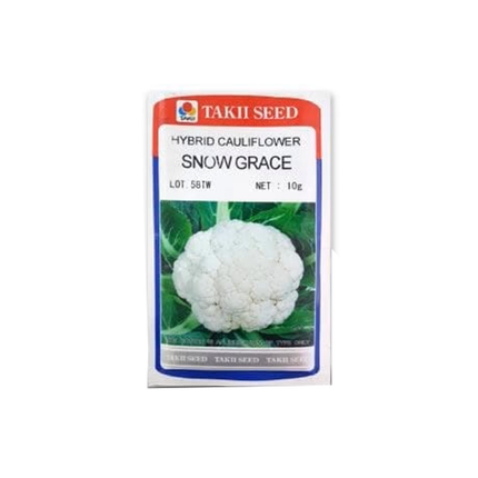 Taki Snow Grace Cauliflower F1 Seeds - 10 Gm