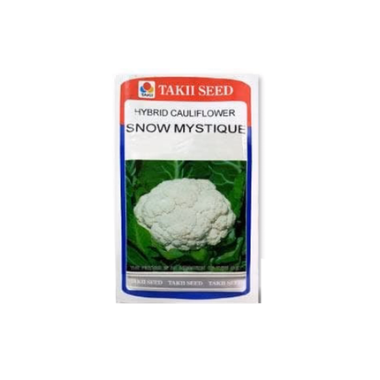 Taki Snow Mountain Cauliflower F1 Seeds - 10 Gm