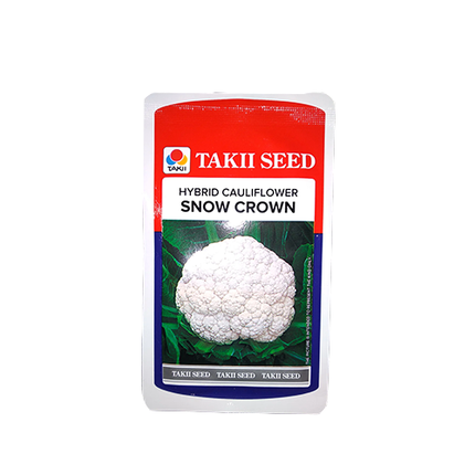 Taki Snow Mystique Cauliflower F1 Seeds - 10 GM (PACK OF 2)