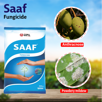 UPL Saaf Fungicide 