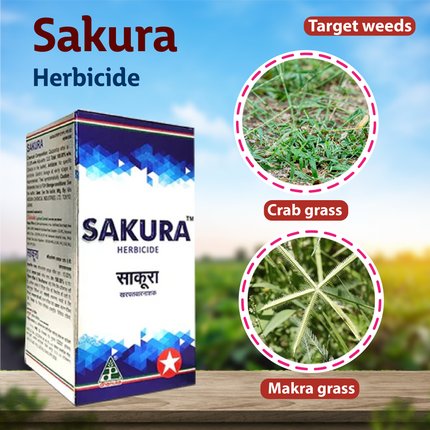 Dhanuka Sakura Herbicide - 250 ML Weeds