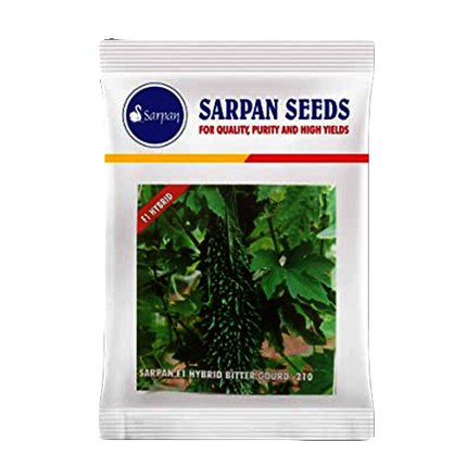 Sarpan Hybrid Bitter Gourd-210 Seeds - 25 GM