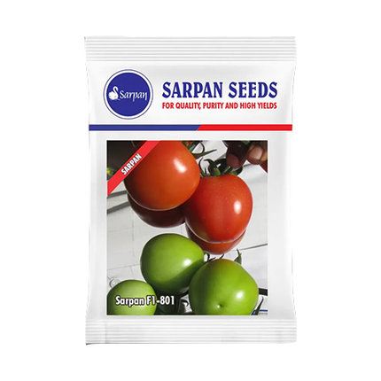 Sarpan Tomato-801 Seeds - 10 GM