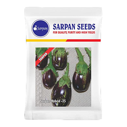 Sarpan F1 Brinjal-25 Seeds - 20 GM