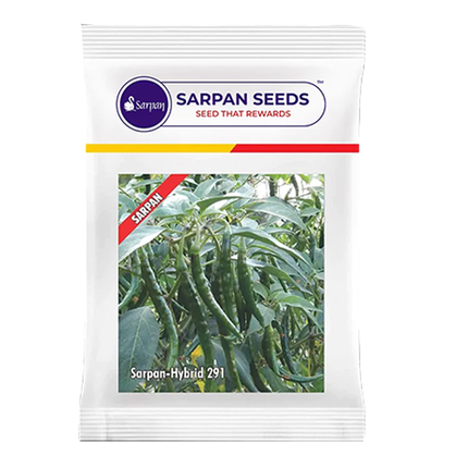 Sarpan Chilli Seeds F1 291  - 10 GM