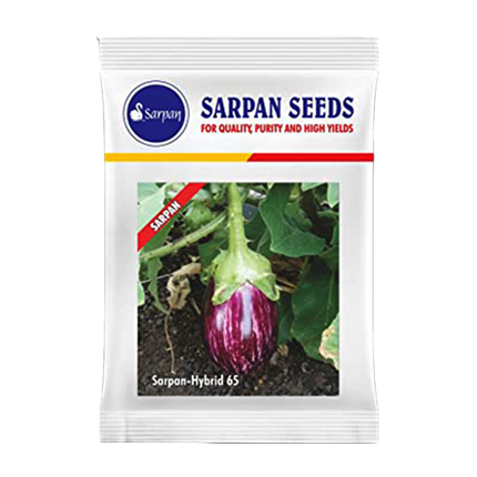 ﻿Sarpan Brinjal-65 Seeds - 10 GM