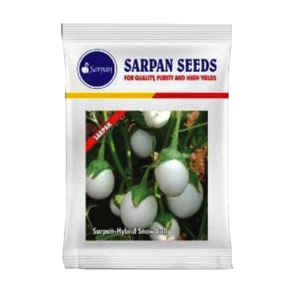 Sarpan Hybrid- Snow Ball Brinjal Seeds - 10 GM