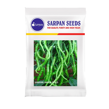 Sarpan Jwala Gold Chilli Seeds - 10 GM