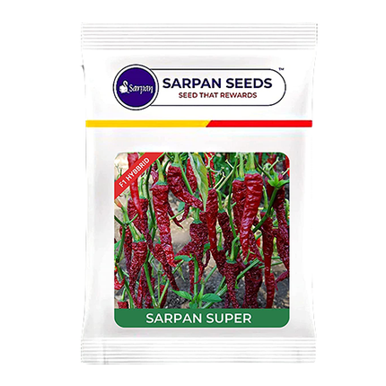 Sarpan Super Chilli - Byadagi Chilli Seeds - 10 GM