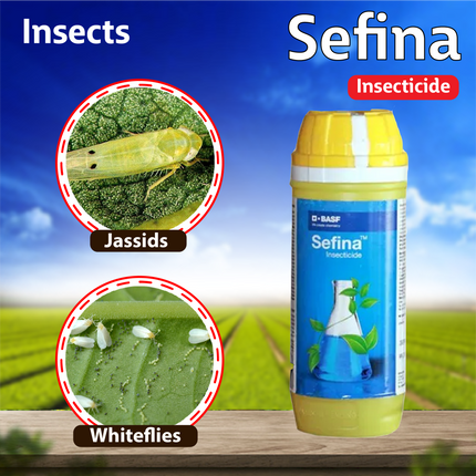 BASF Sefina Insecticide