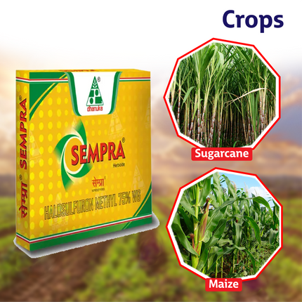 Dhanuka Sempra Herbicide Crops