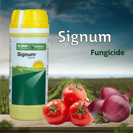 BASF Signum Fungicide - 240 GM