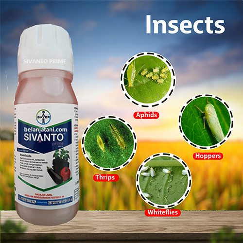 Bayer Sivanto Prime Insecticide – Agriplex