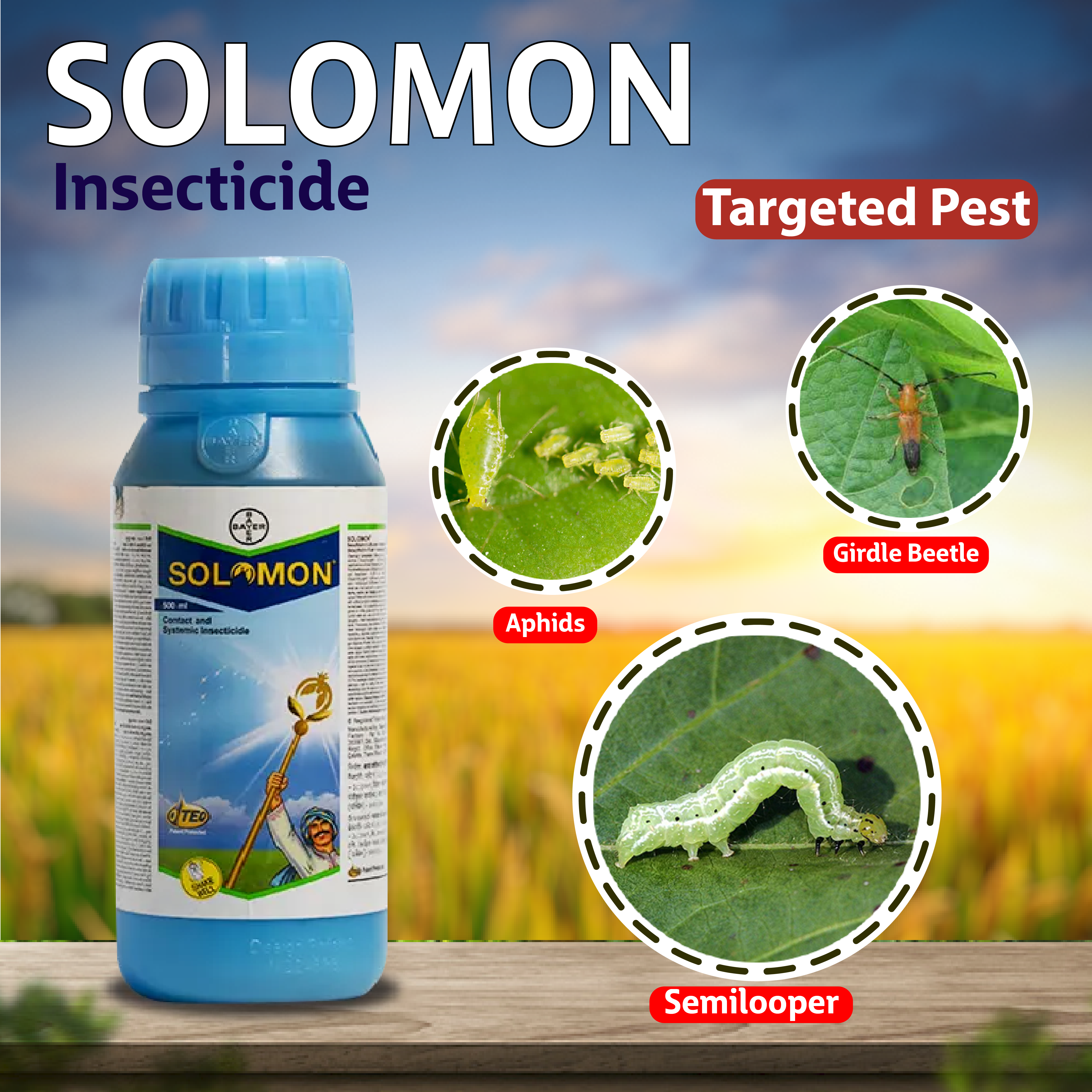 Bayer Solomon Insecticide
