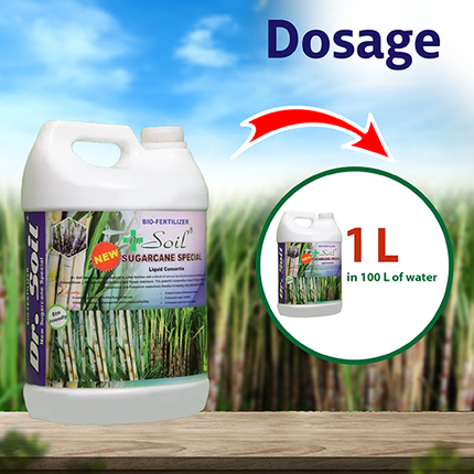 Dr. Soil Sugarcane Special Liquid Consortia - 5 LT Dosage