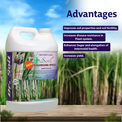 Dr. Soil Sugarcane Special Liquid Consortia - 5 LT Advantages