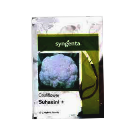 Syngenta Suhasini Cauliflower Seeds