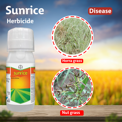 Bayer Sunrice Herbicide