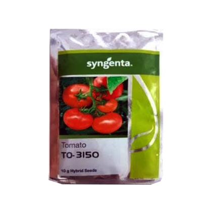 Syngenta To-3150 Tomato Seeds