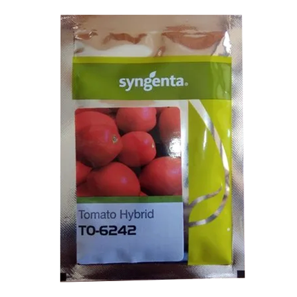Syngenta To-6242 Tomato Seeds