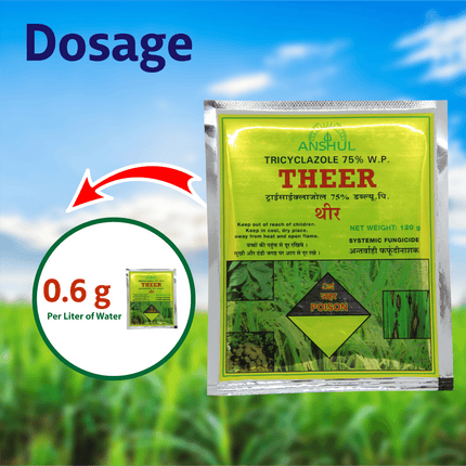 Anshul Theer Fungicide Powder - 120 GM Dosage