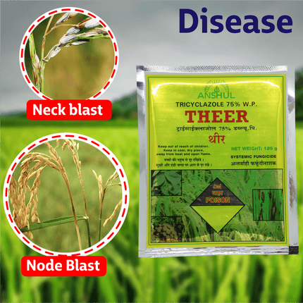Anshul Theer Fungicide Powder - 120 GM Diseases